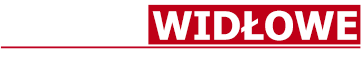 MAG-SERWIS Wózki Widłowe